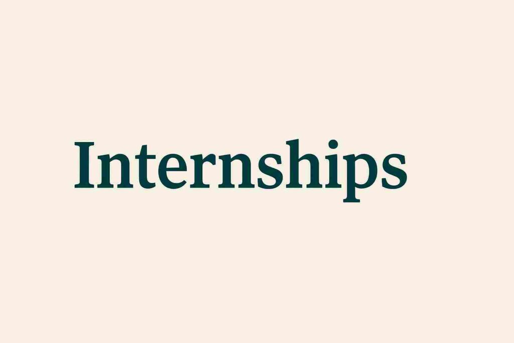 ICSSR Internship